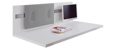 MITESCO (desk panel)